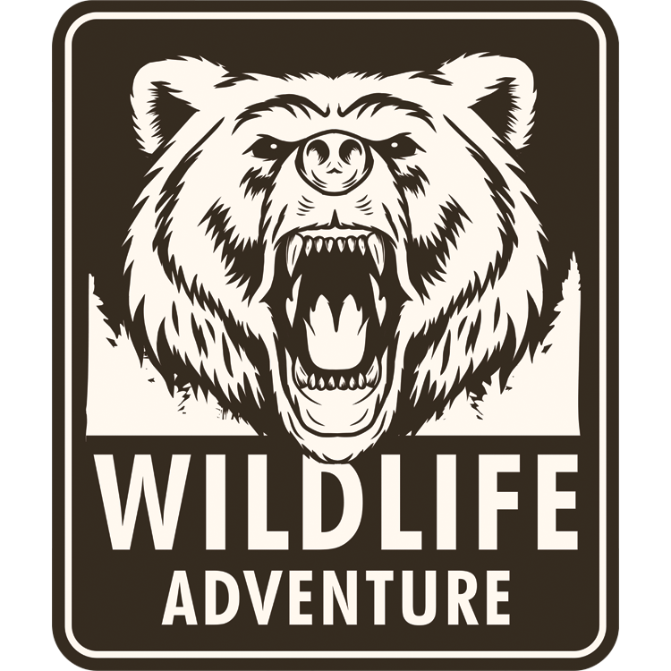 Wildlife Adventure patch — cream and dark brown badge with a roaring grizzly bear over pines
